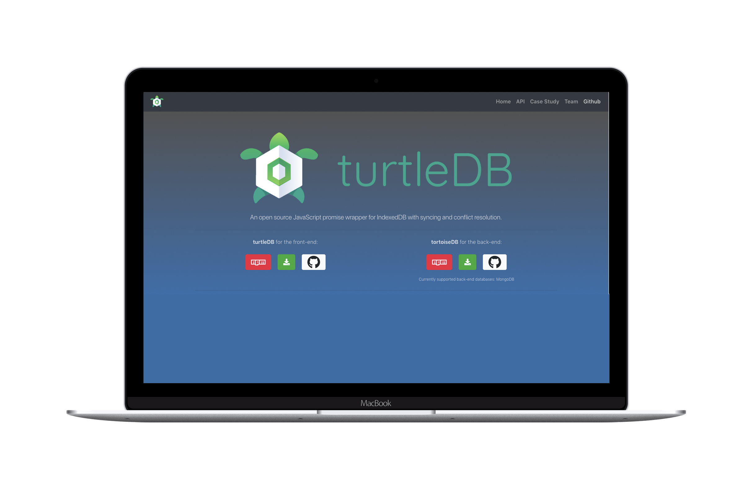 turtledb laptop